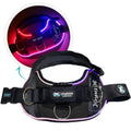 Illuminate Your Dog's Adventures with the Joyride Harness 2.0 - LED Light-Up No-Pull Design, USB Rechargeable, and 13 Customizable Name Tags Included