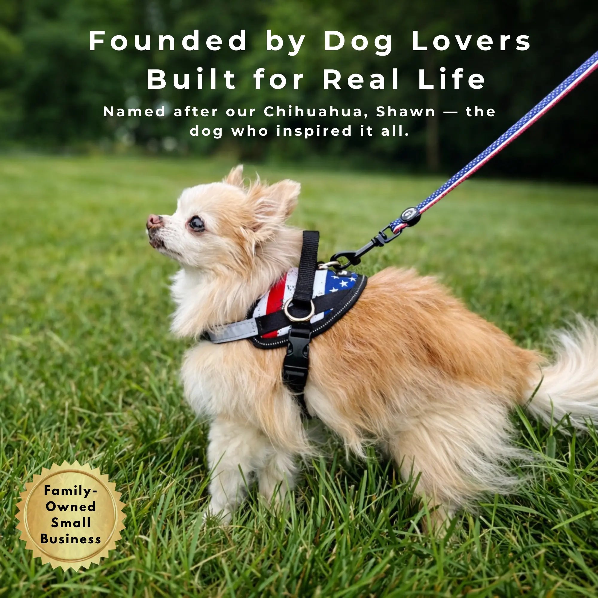 Shawnco Essential Dog Harness - Reflective, Adjustable & Padded Vest with 3 Leash Clips for Comfortable Walks and Training (Fits Small to Large Dogs)
