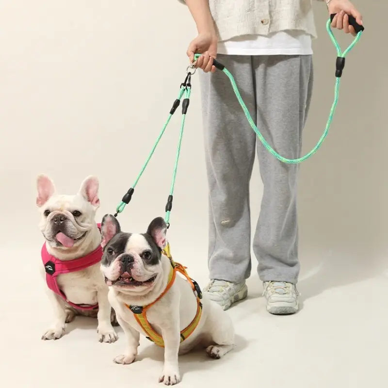 Revolutionary Double-Ended Dog Leash - Walk Two Pets with Ease, Stylish Removable Wave Pattern, Anti-Tangle Design for Stress-Free Outdoor Adventures