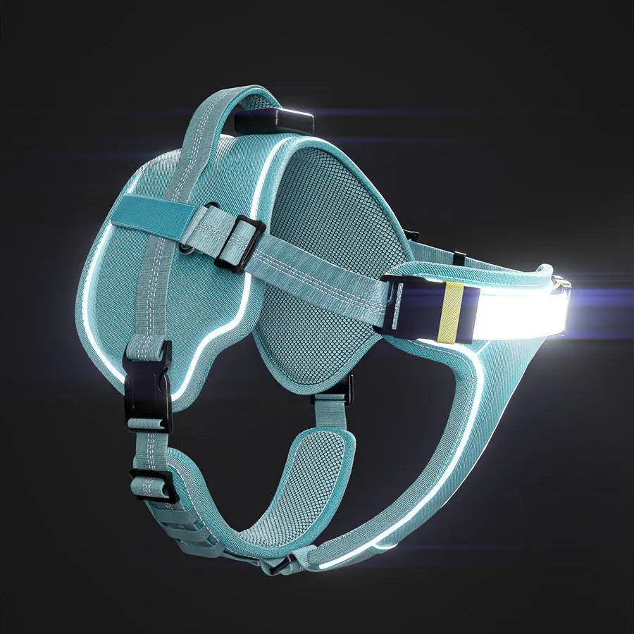Illuminate Your Walks with the Lumi One Dog Harness - 1000-Lumen LED Light, USB-C Rechargeable, Adjustable Fit for Every Breed & Size - 2025's Top Choice for Pet Safety!