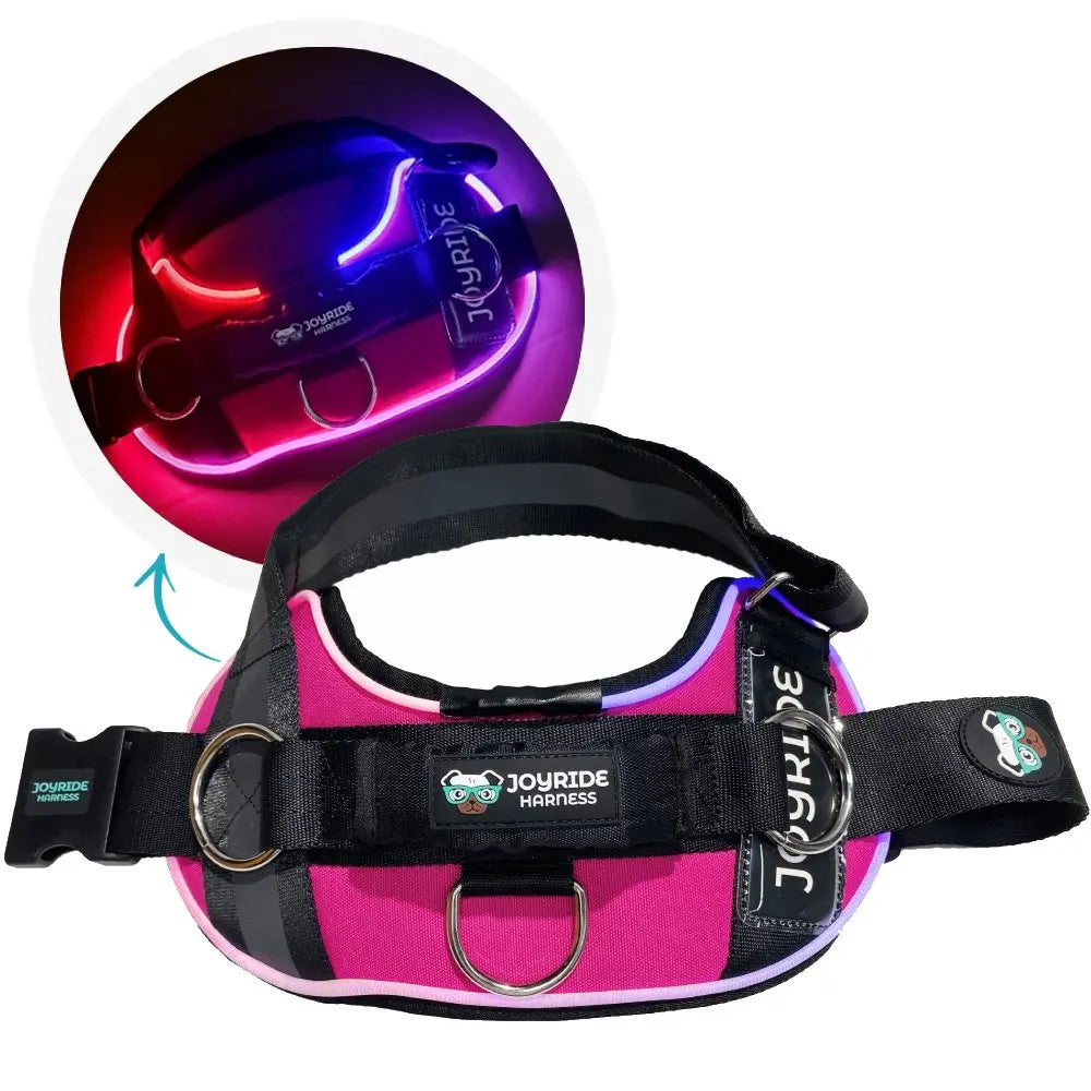 Illuminate Your Dog's Adventures with the Joyride Harness 2.0 - LED Light-Up No-Pull Design, USB Rechargeable, and 13 Customizable Name Tags Included