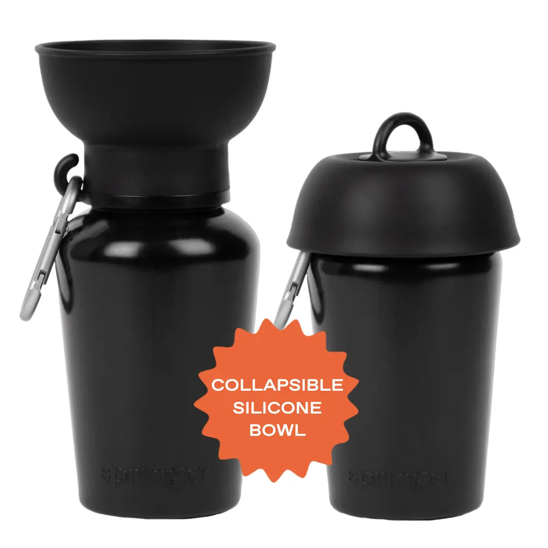 The Ultimate 20Oz Flip Dog Travel Water Bottle - Hydration on the Go!