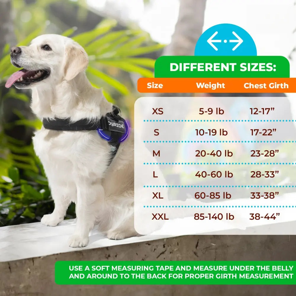 Illuminate Your Dog's Adventures with the Joyride Harness 2.0 - LED Light-Up No-Pull Design, USB Rechargeable, and 13 Customizable Name Tags Included