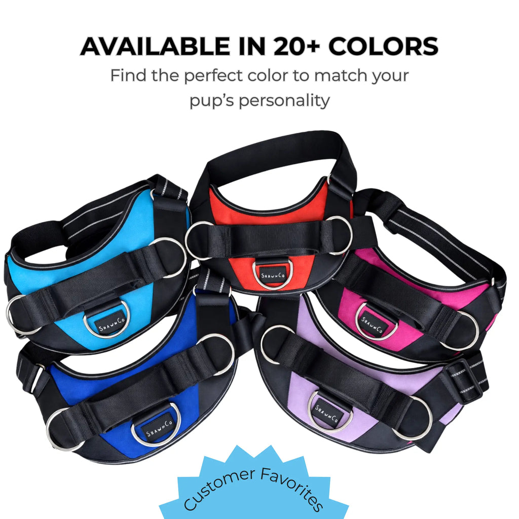Shawnco Essential Dog Harness - Reflective, Adjustable & Padded Vest with 3 Leash Clips for Comfortable Walks and Training (Fits Small to Large Dogs)