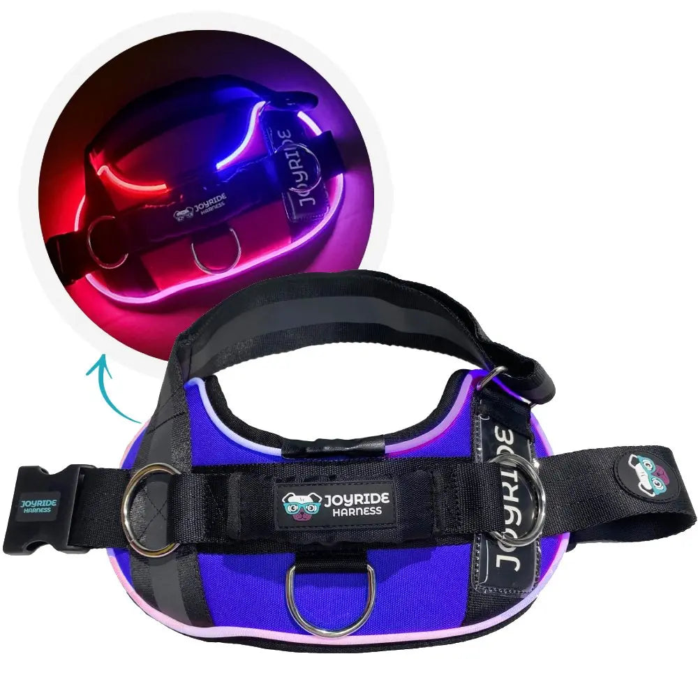 Illuminate Your Dog's Adventures with the Joyride Harness 2.0 - LED Light-Up No-Pull Design, USB Rechargeable, and 13 Customizable Name Tags Included