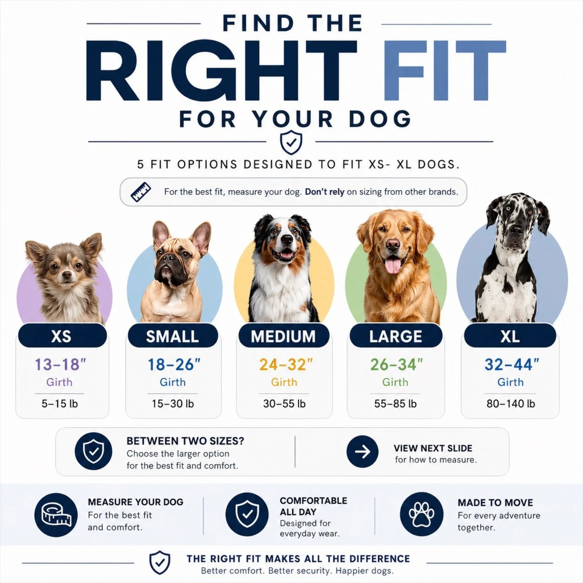 Shawnco Essential Dog Harness - Reflective, Adjustable & Padded Vest with 3 Leash Clips for Comfortable Walks and Training (Fits Small to Large Dogs)