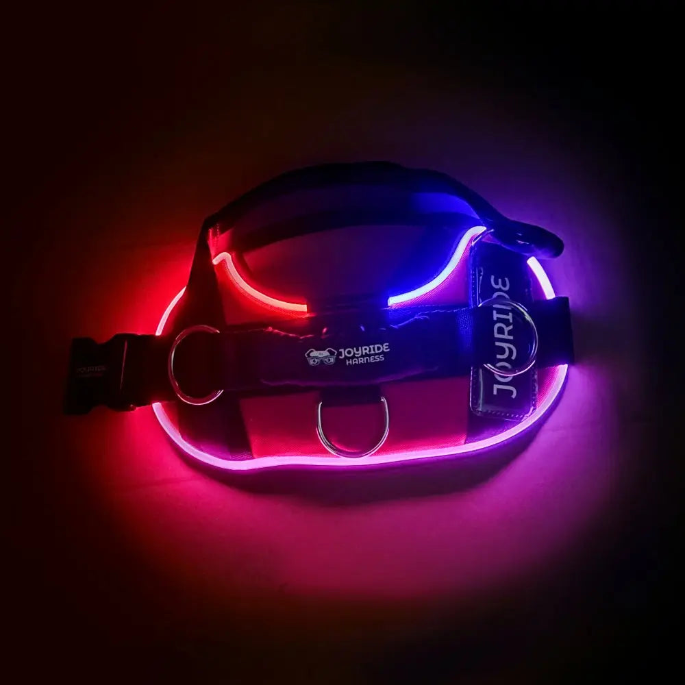 Illuminate Your Dog's Adventures with the Joyride Harness 2.0 - LED Light-Up No-Pull Design, USB Rechargeable, and 13 Customizable Name Tags Included