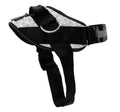 Shawnco Essential Dog Harness - Reflective, Adjustable & Padded Vest with 3 Leash Clips for Comfortable Walks and Training (Fits Small to Large Dogs)