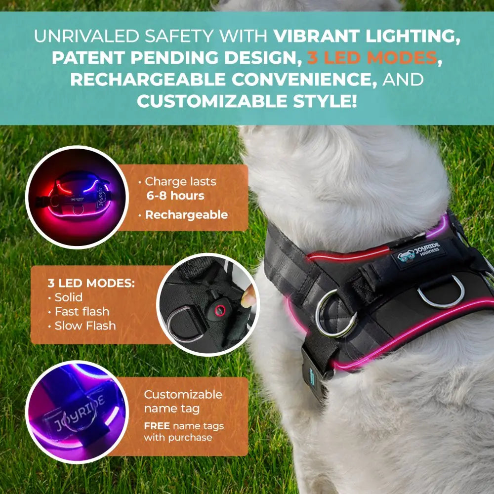 Illuminate Your Dog's Adventures with the Joyride Harness 2.0 - LED Light-Up No-Pull Design, USB Rechargeable, and 13 Customizable Name Tags Included