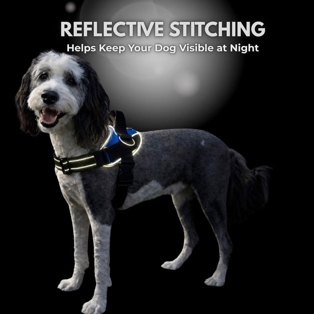 Shawnco Essential Dog Harness - Reflective, Adjustable & Padded Vest with 3 Leash Clips for Comfortable Walks and Training (Fits Small to Large Dogs)