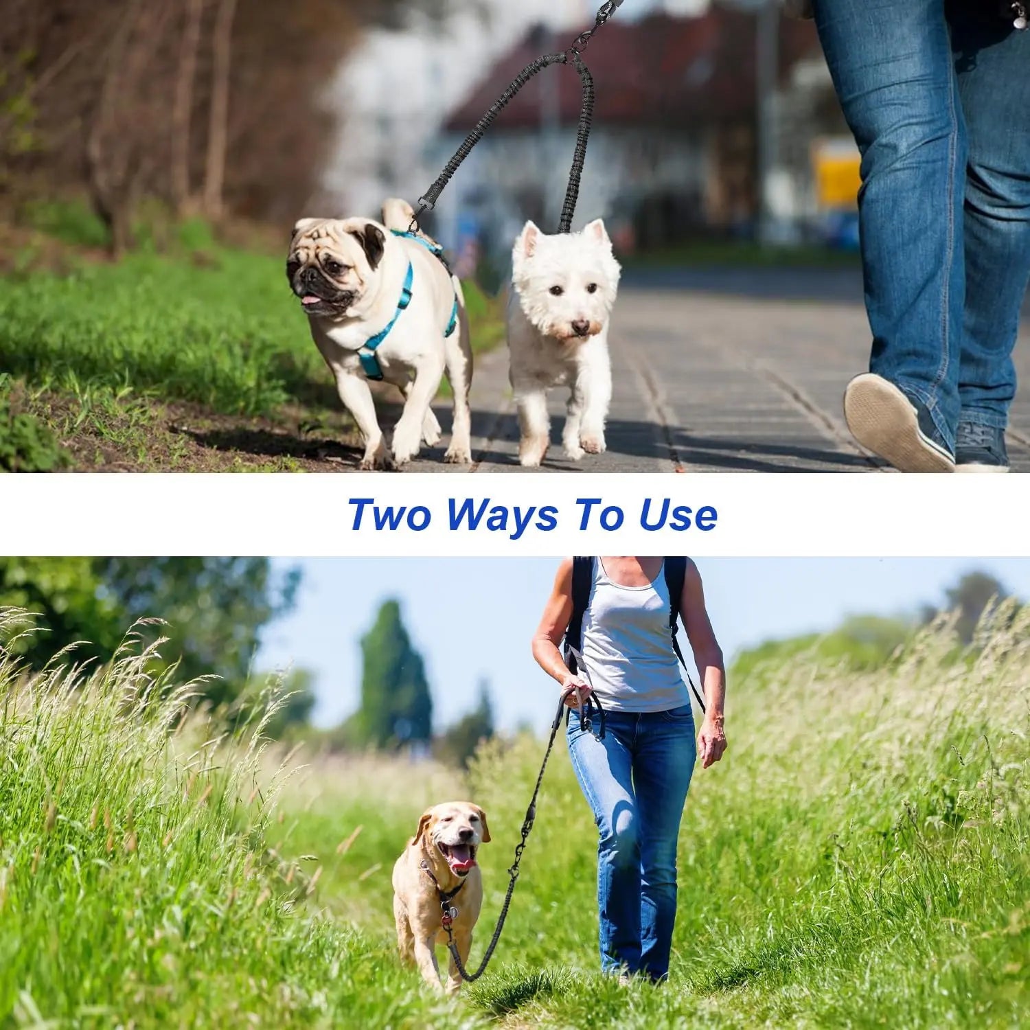 Experience Effortless Walks with the Pipidodo Dual Dog Leash - Shock Absorbing, Tangle-Free, and Comfortably Padded for Two Dogs!