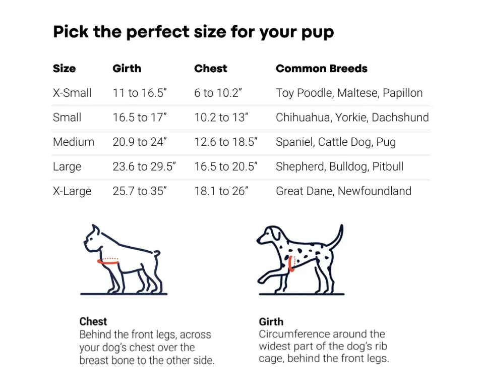 Illuminate Your Walks with the Lumi One Dog Harness - 1000-Lumen LED Light, USB-C Rechargeable, Adjustable Fit for Every Breed & Size - 2025's Top Choice for Pet Safety!