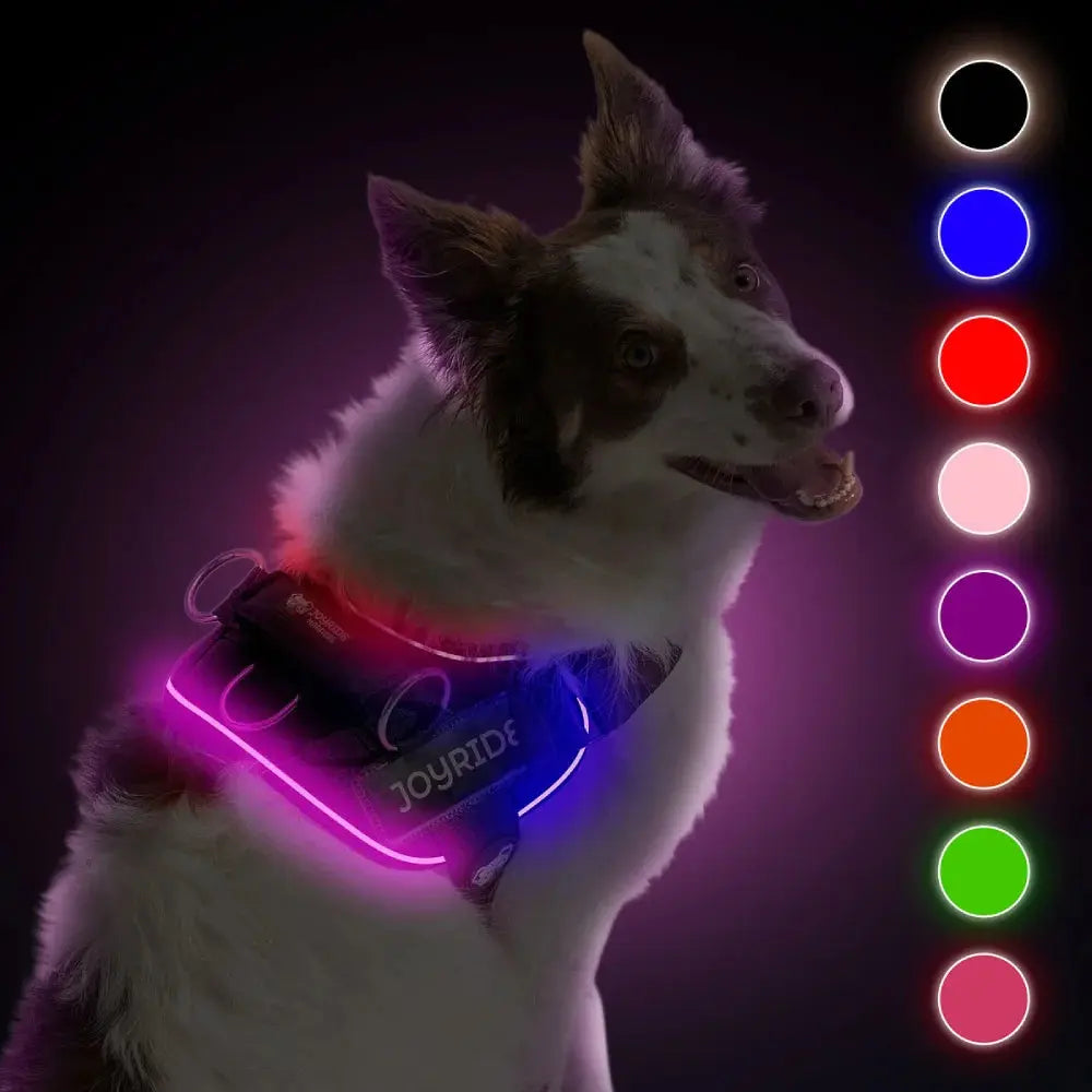 Illuminate Your Dog's Adventures with the Joyride Harness 2.0 - LED Light-Up No-Pull Design, USB Rechargeable, and 13 Customizable Name Tags Included