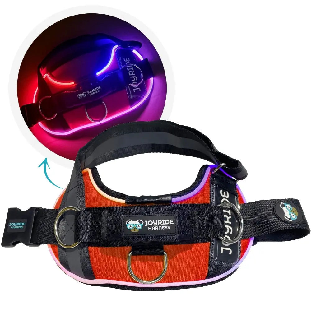 Illuminate Your Dog's Adventures with the Joyride Harness 2.0 - LED Light-Up No-Pull Design, USB Rechargeable, and 13 Customizable Name Tags Included