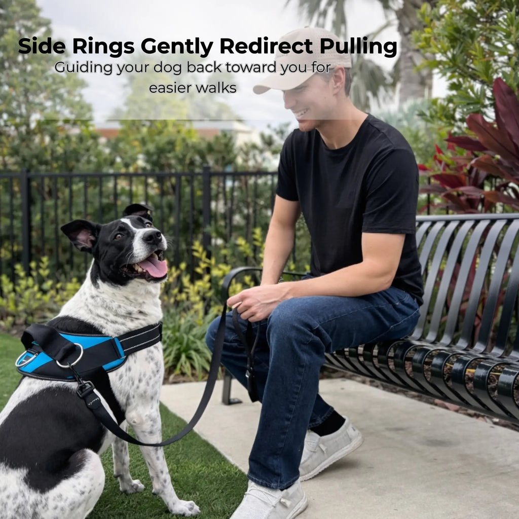 Shawnco Essential Dog Harness - Reflective, Adjustable & Padded Vest with 3 Leash Clips for Comfortable Walks and Training (Fits Small to Large Dogs)