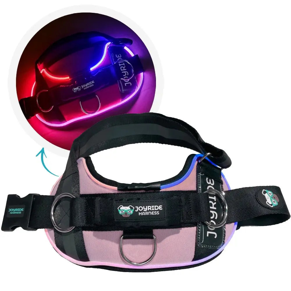 Illuminate Your Dog's Adventures with the Joyride Harness 2.0 - LED Light-Up No-Pull Design, USB Rechargeable, and 13 Customizable Name Tags Included