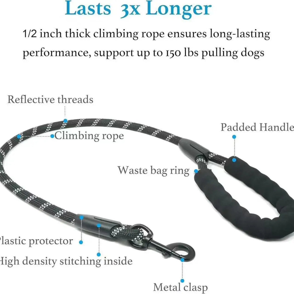 Experience Effortless Walks with the Pipidodo Dual Dog Leash - Shock Absorbing, Tangle-Free, and Comfortably Padded for Two Dogs!