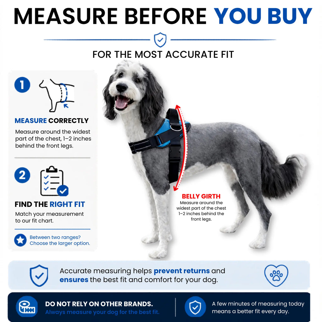Shawnco Essential Dog Harness - Reflective, Adjustable & Padded Vest with 3 Leash Clips for Comfortable Walks and Training (Fits Small to Large Dogs)