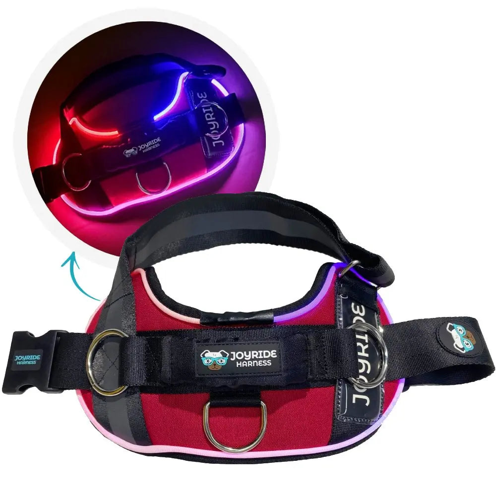 Illuminate Your Dog's Adventures with the Joyride Harness 2.0 - LED Light-Up No-Pull Design, USB Rechargeable, and 13 Customizable Name Tags Included