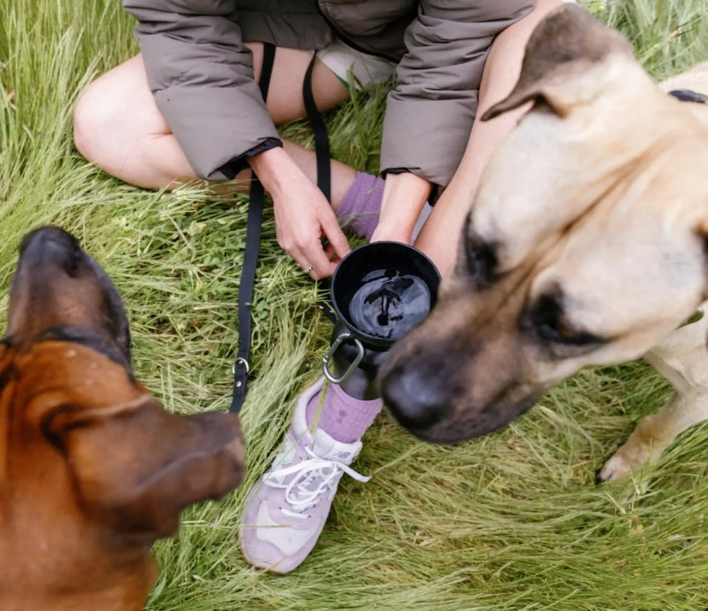 The Ultimate 20Oz Flip Dog Travel Water Bottle - Hydration on the Go!