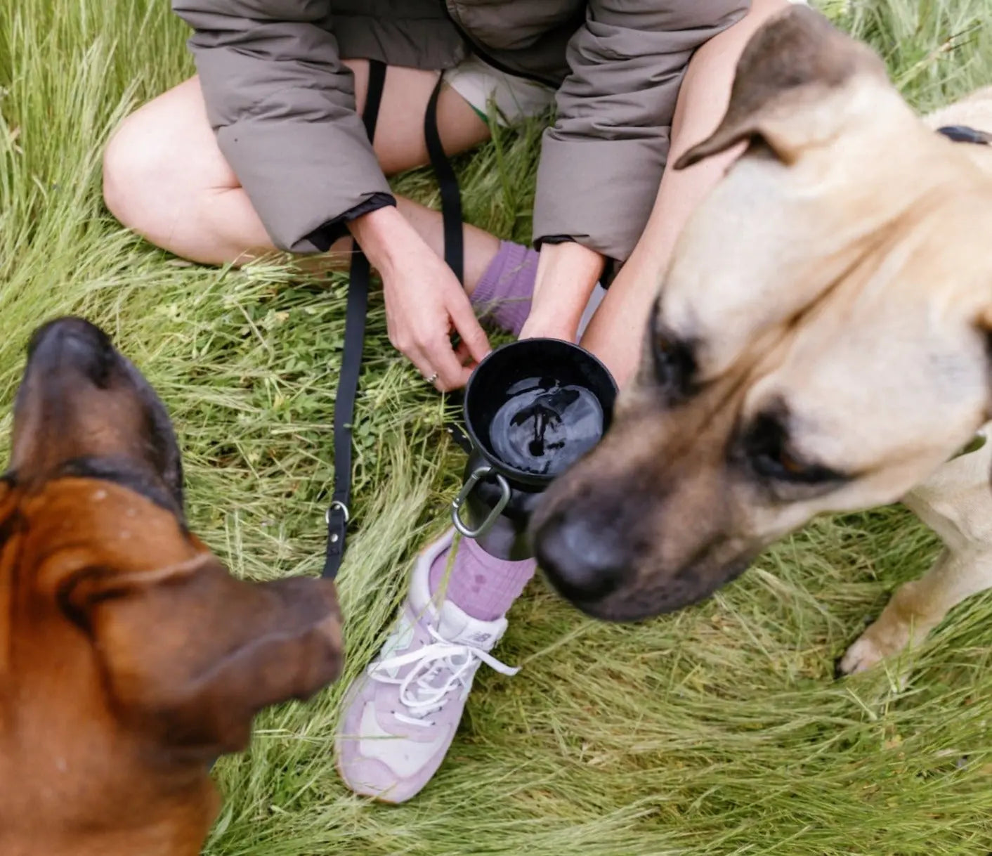 The Ultimate 20Oz Flip Dog Travel Water Bottle - Hydration on the Go!