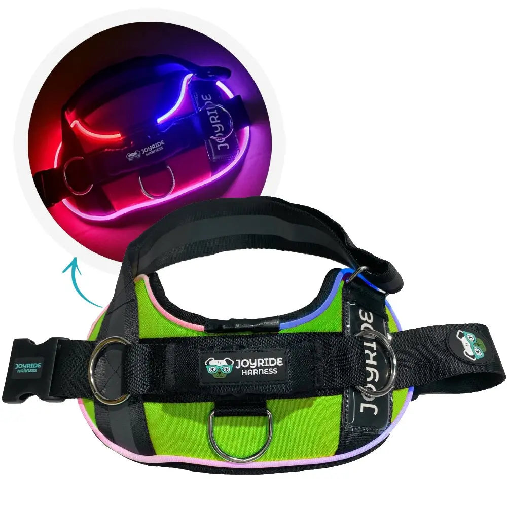 Illuminate Your Dog's Adventures with the Joyride Harness 2.0 - LED Light-Up No-Pull Design, USB Rechargeable, and 13 Customizable Name Tags Included