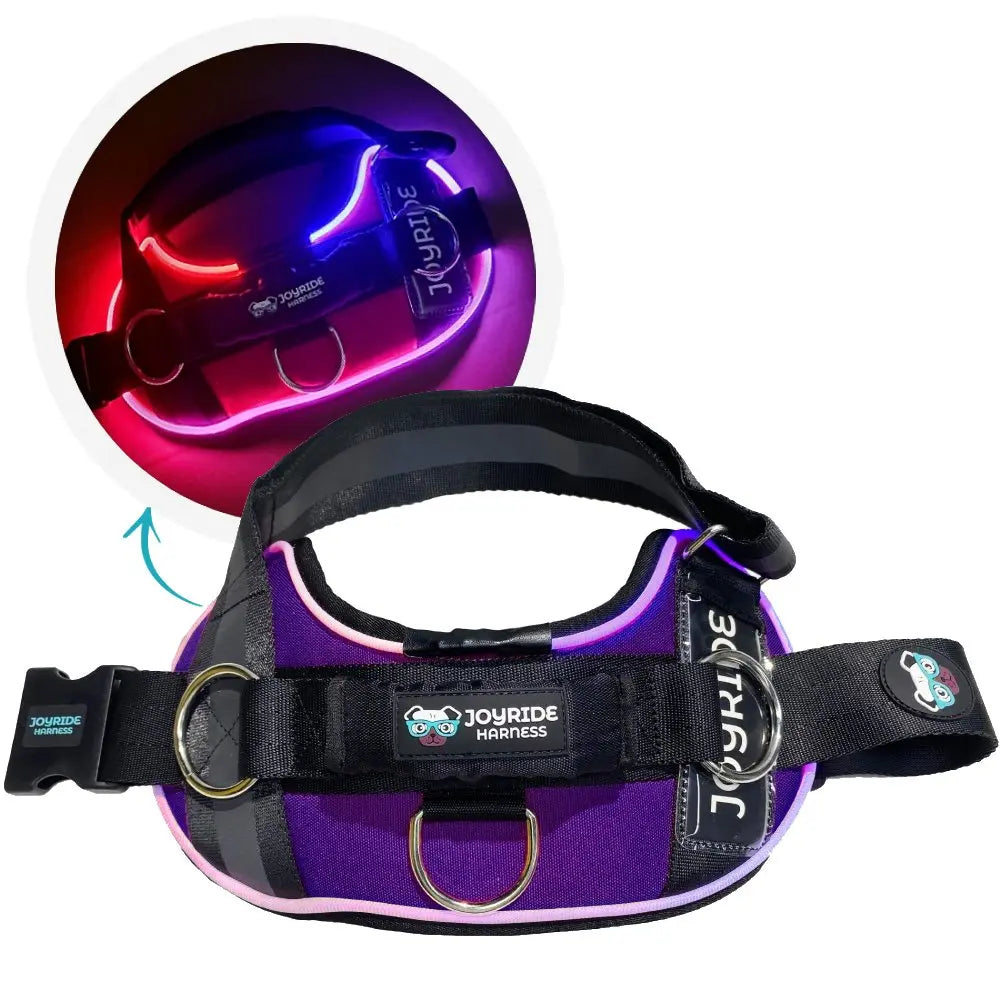 Illuminate Your Dog's Adventures with the Joyride Harness 2.0 - LED Light-Up No-Pull Design, USB Rechargeable, and 13 Customizable Name Tags Included